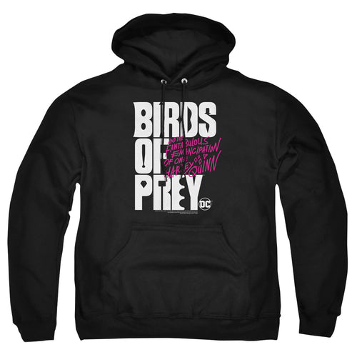 Birds of Prey Birds Of Prey Logo Pullover Hoodie