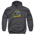 Justice League Batman Rough Distress Youth Hoodie