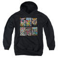 DC Comics Dco Covers Youth Hoodie