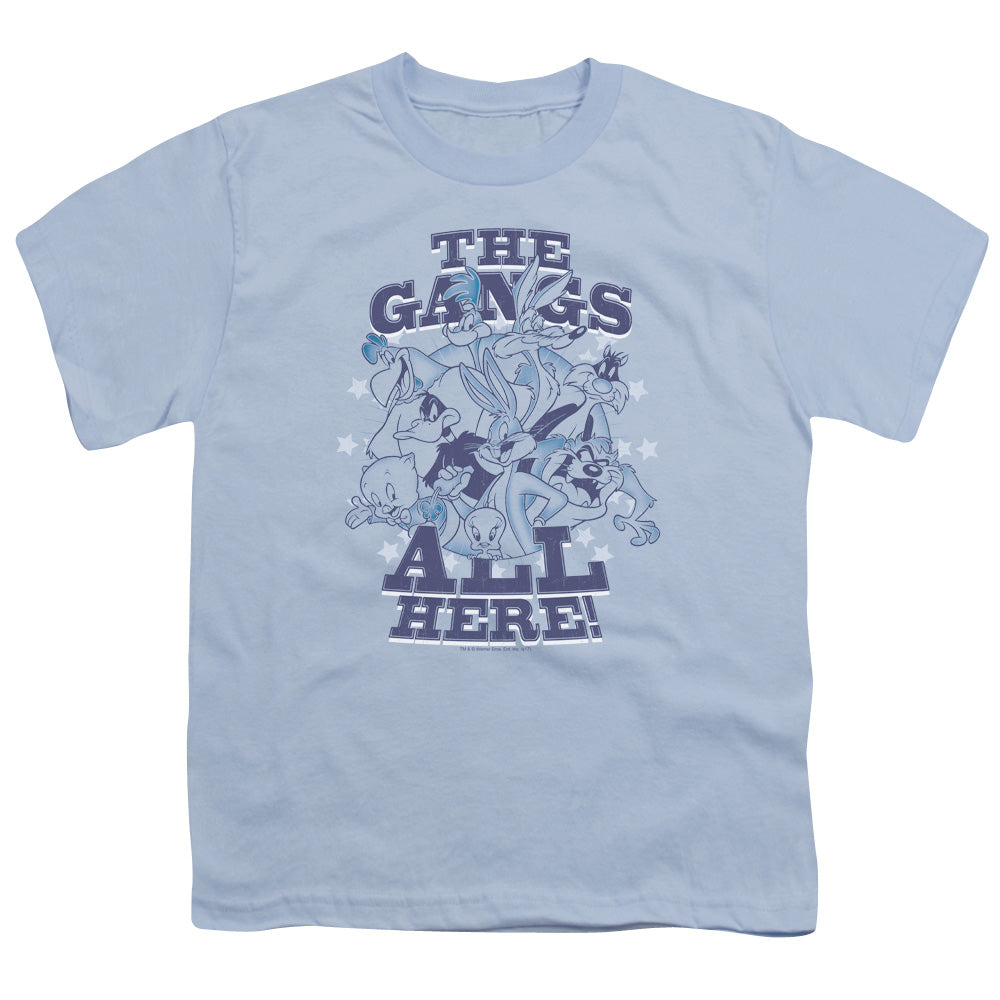 Looney Tunes Blue Gang Youth/Toddler T-Shirt