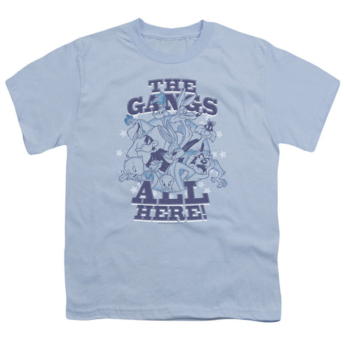 Looney Tunes Blue Gang Youth/Toddler T-Shirt