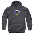 Justice League Batgirl Chibi Youth Hoodie