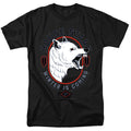 Game of Thrones House Stark Winter Is Coming T-Shirt