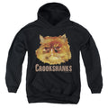 Harry Potter Crookshanks Color Youth Hoodie