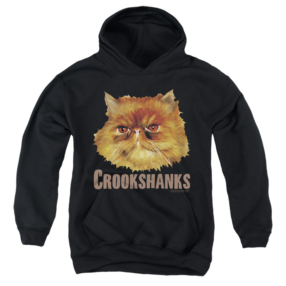 Harry Potter Crookshanks Color Youth Hoodie