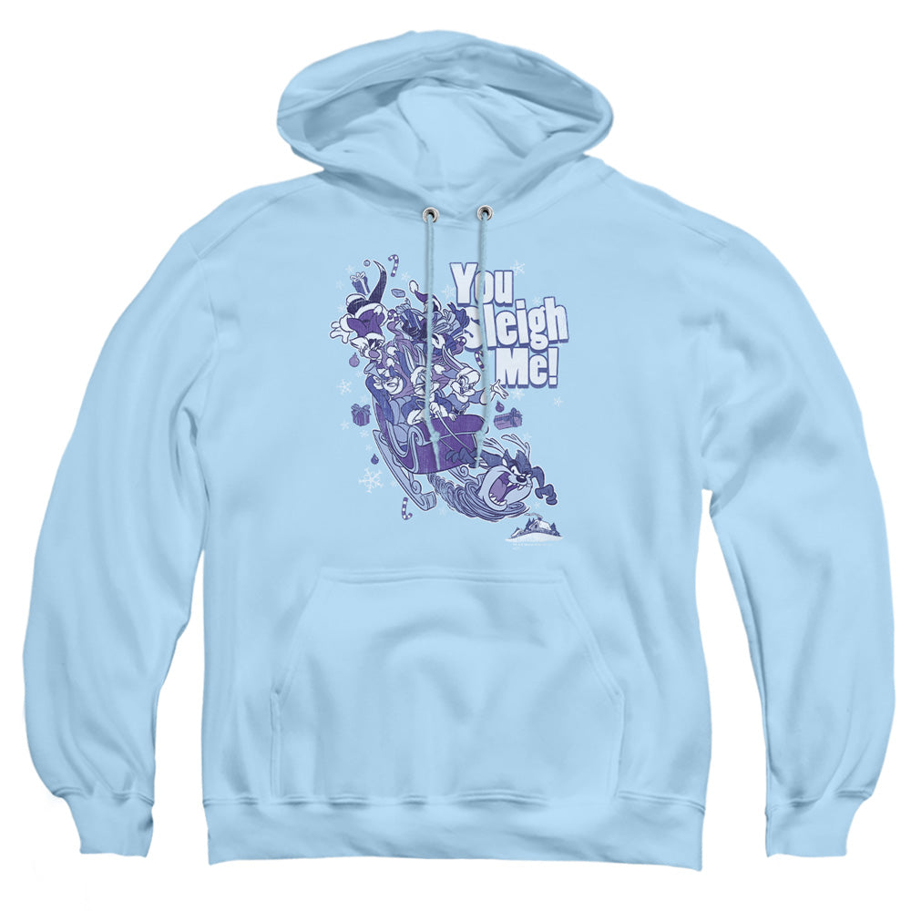 Looney Tunes You Sleigh Me Pullover Hoodie