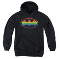 Batman Rainbow Logo Youth Hoodie