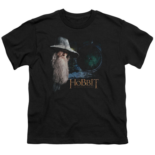 The Hobbit The Door Youth/Toddler T-Shirt