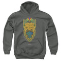 Fantastic Beasts Brazil Ministry Flag Youth Hoodie