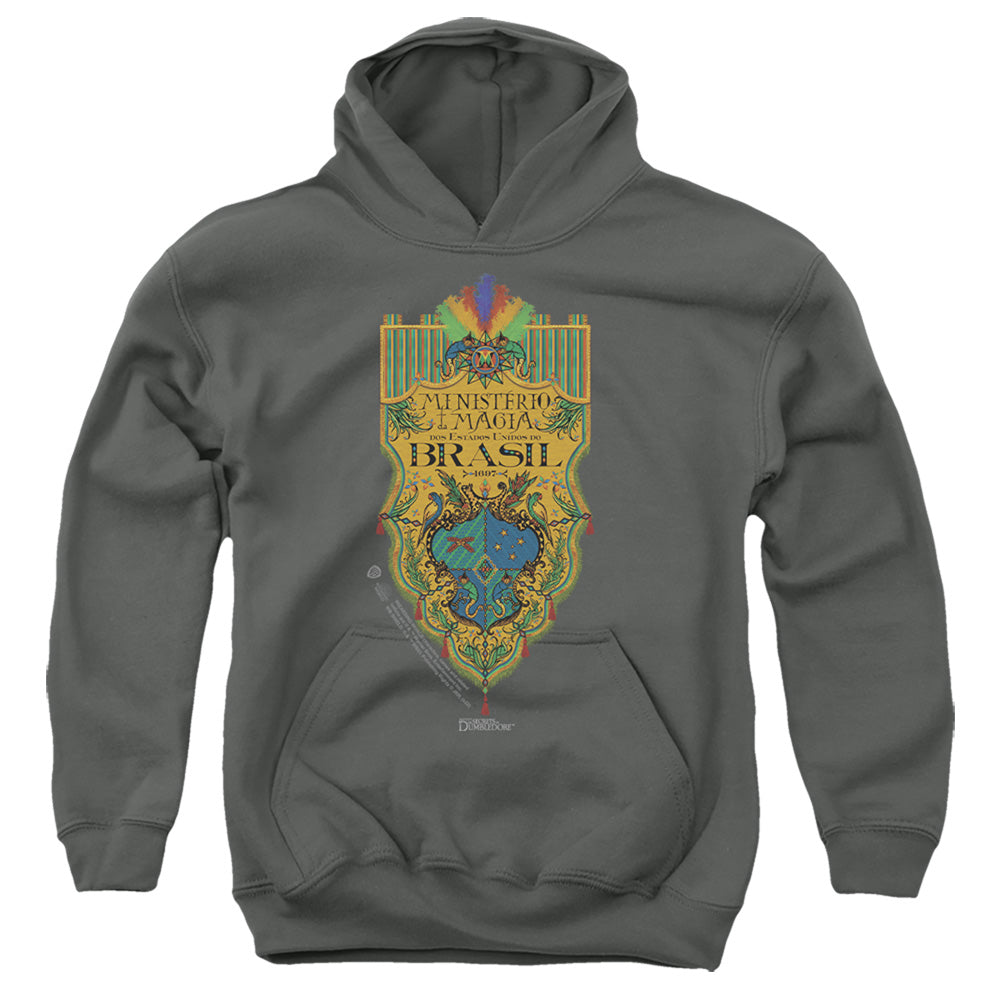 Fantastic Beasts Brazil Ministry Flag Youth Hoodie