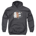 We Bare Bears Selfie Youth Hoodie