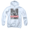 Sesame Street Photo Poster Youth Hoodie