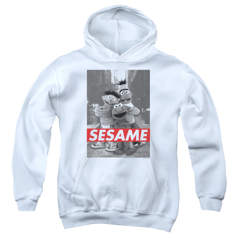 Sesame Street Photo Poster Youth Hoodie