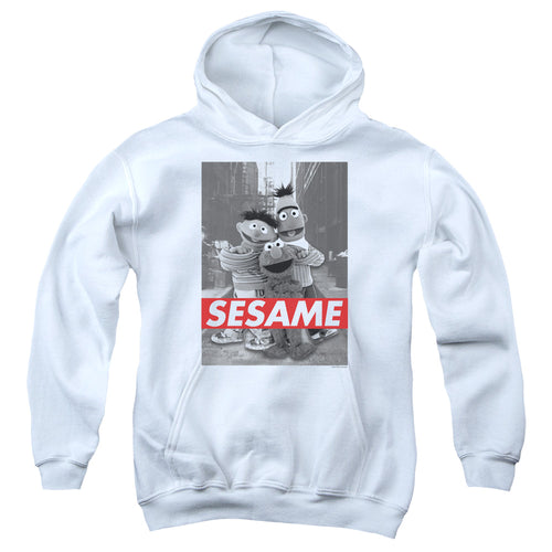 Sesame Street Photo Poster Youth Hoodie