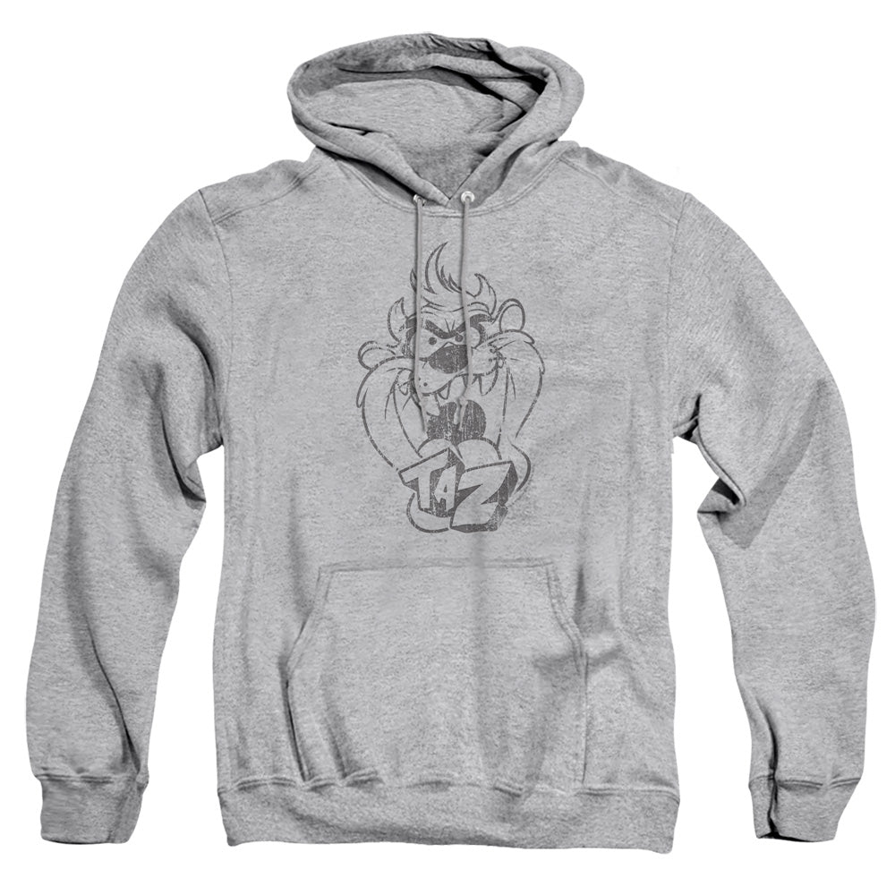 Looney Tunes Faded Taz Pullover Hoodie