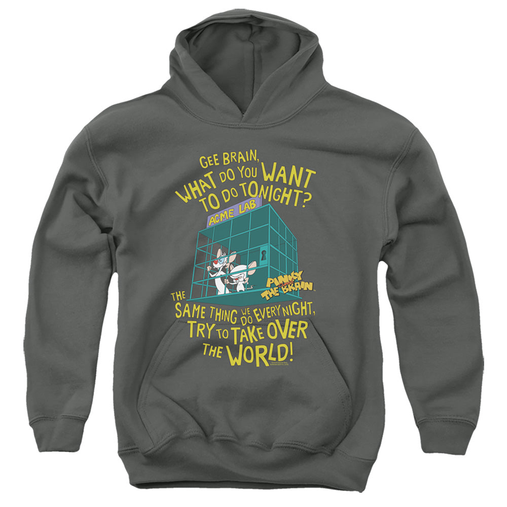 Pinky and the Brain Take Over the World Youth Hoodie