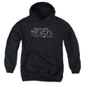 Fantastic Beasts Logo Youth Hoodie