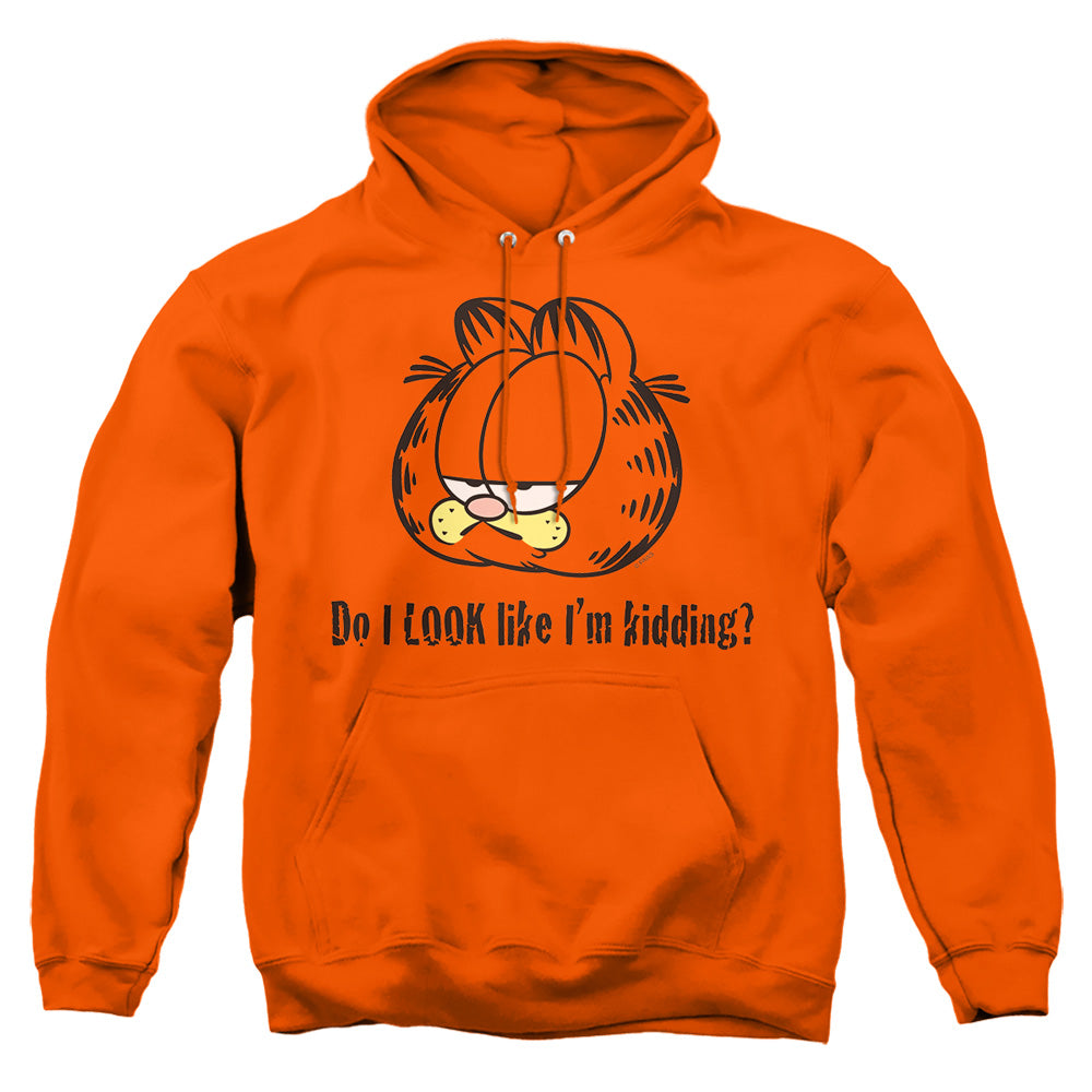Garfield Do I Look Like Im Kidding Pullover Hoodie
