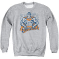 Superman Vintage Stance Crewneck Sweatshirt