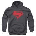 Batman v Superman Splattered Youth Hoodie