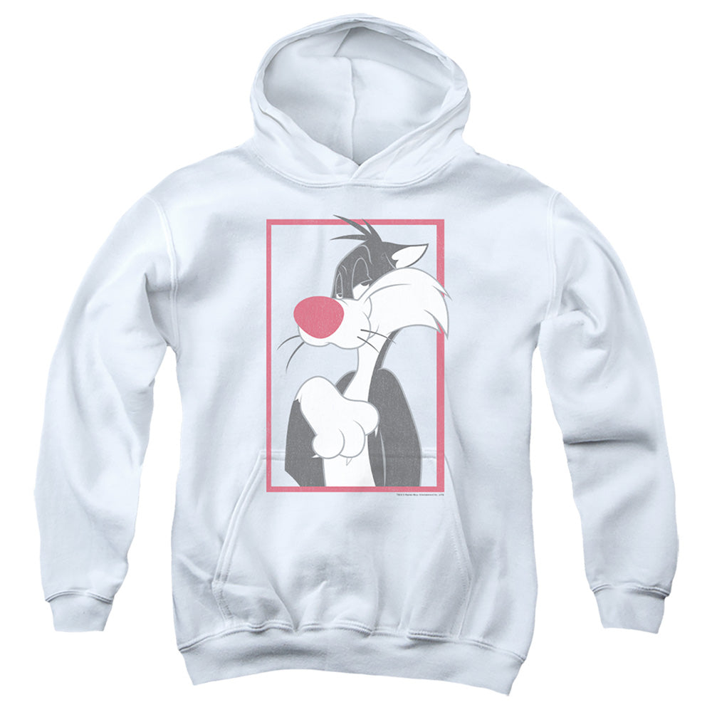 Looney Tunes Sylvester Youth Hoodie