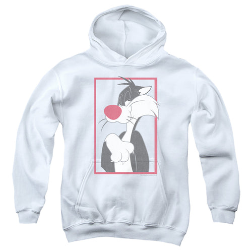 Looney Tunes Sylvester Youth Hoodie