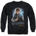 Fantastic Beasts Scamander Monogram Crewneck Sweatshirt