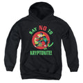 Superman Say No to Kryptonite Youth Hoodie