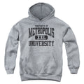 Superman Property of Mu Youth Hoodie