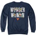 Wonder Woman WW 80th Illustrated Type Crewneck Sweatshirt