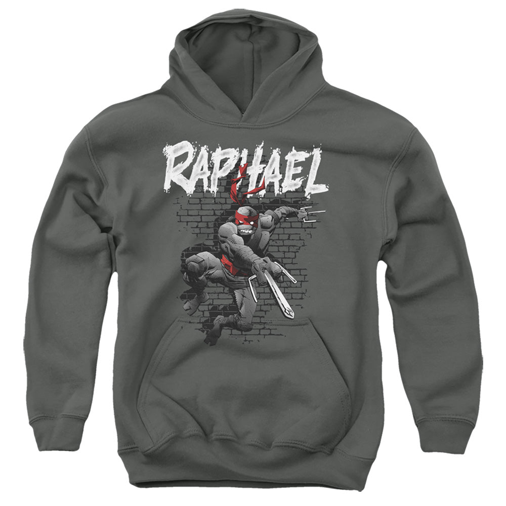 Teenage Mutant Ninja Turtles Raphael Youth Hoodie