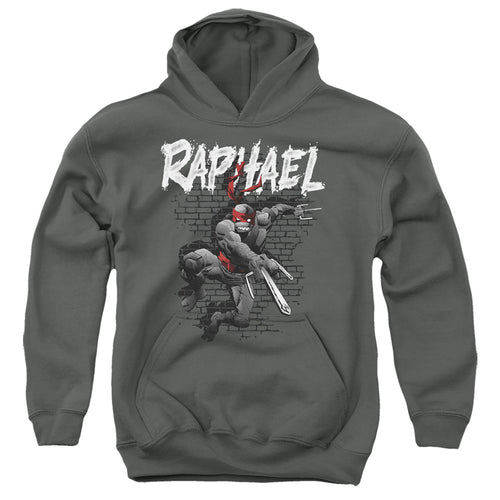 Teenage Mutant Ninja Turtles Raphael Youth Hoodie