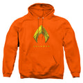 Aquaman Aquaman Logo Pullover Hoodie