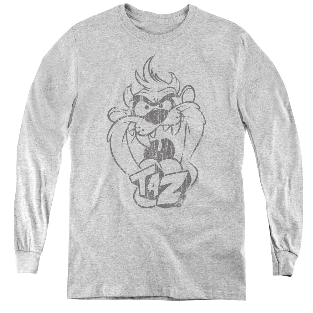 Looney Tunes Faded Taz Youth Long Sleeve T-Shirt