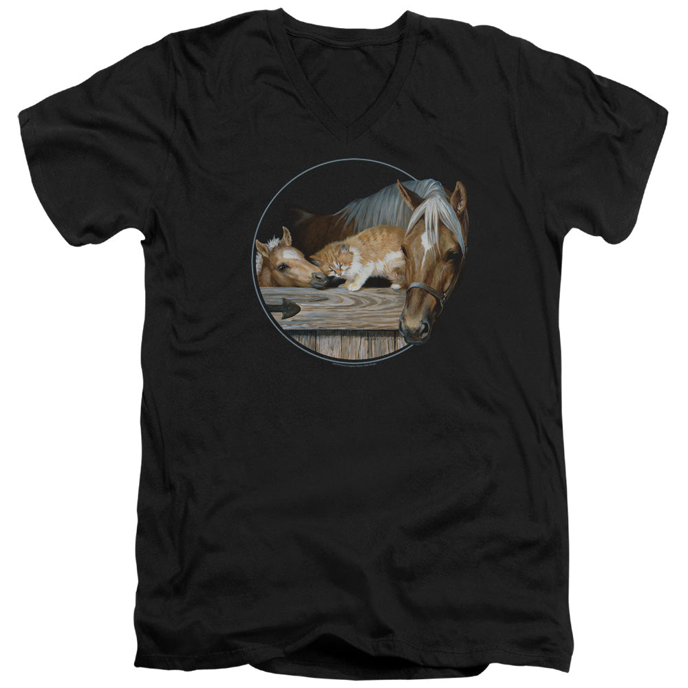 Wild Wings Everyone Loves Kitty V-Neck T-Shirt
