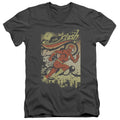 The Flash Just Passing Through V-Neck T-Shirt