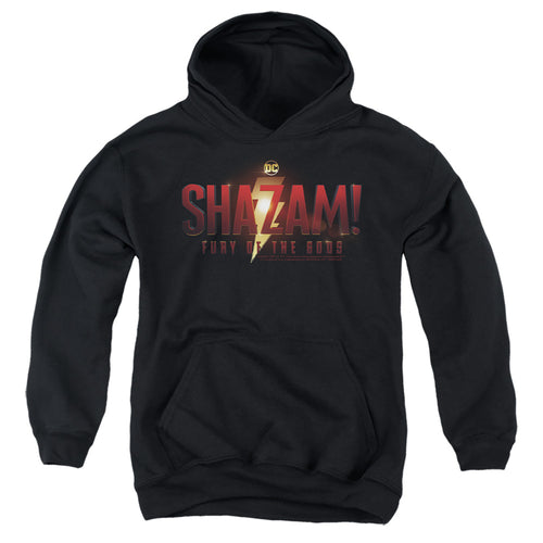 Shazam! Fury of the Gods Movie Logo Youth Hoodie