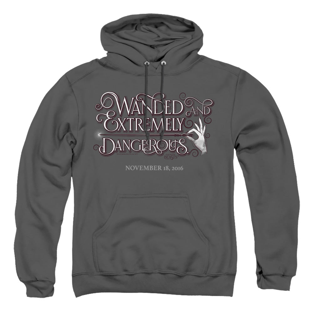 Fantastic Beasts Wanded Pullover Hoodie