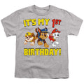 Paw Patrol Group Happy Birthday Youth/Toddler T-Shirt