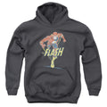 The Flash Desaturated Flash Youth Hoodie