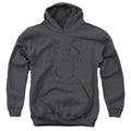 Harry Potter Literary Crests Youth Hoodie