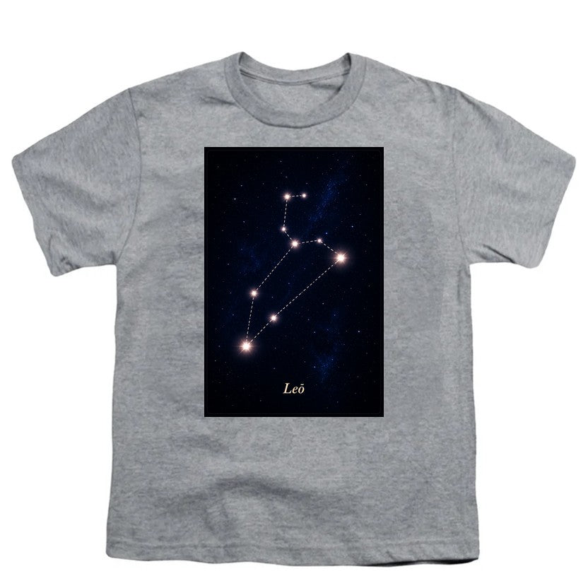 Leo Stars Gray