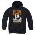 Pink Floyd Pompeii Youth Hoodie