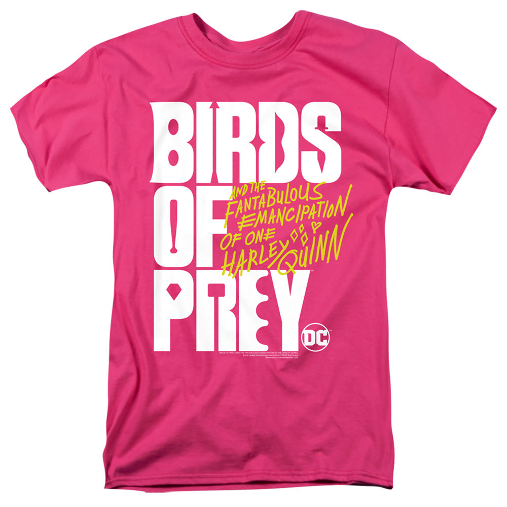 Birds of Prey Birds Of Prey Logo T-Shirt