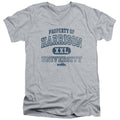Old School Property of Harrison V-Neck T-Shirt