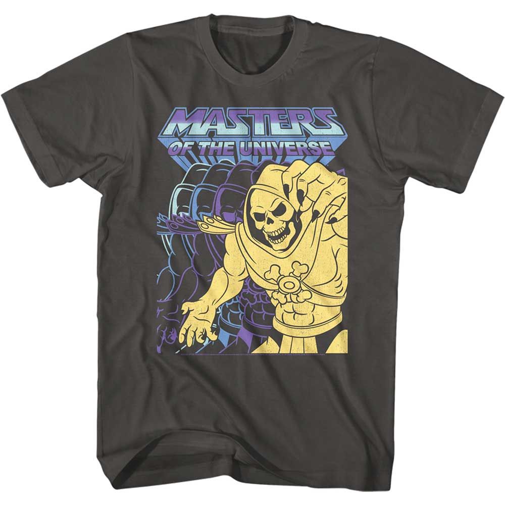 Skeletors Masters of the Universe t-shirt in smoke gray