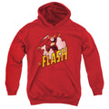 The Flash The Flash Youth Hoodie