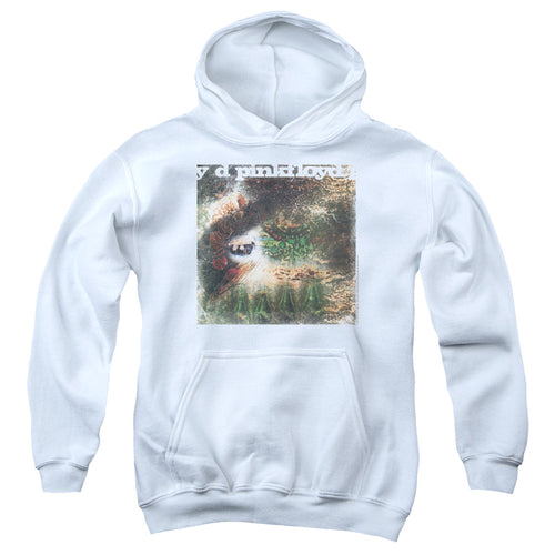 Pink Floyd Saucerful of Secrets Youth Hoodie