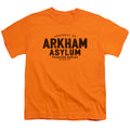 Batman Arkham Asylum Youth/Toddler T-Shirt