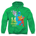Sesame Street 14th Birthday Pullover Hoodie